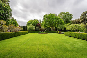 Green grass